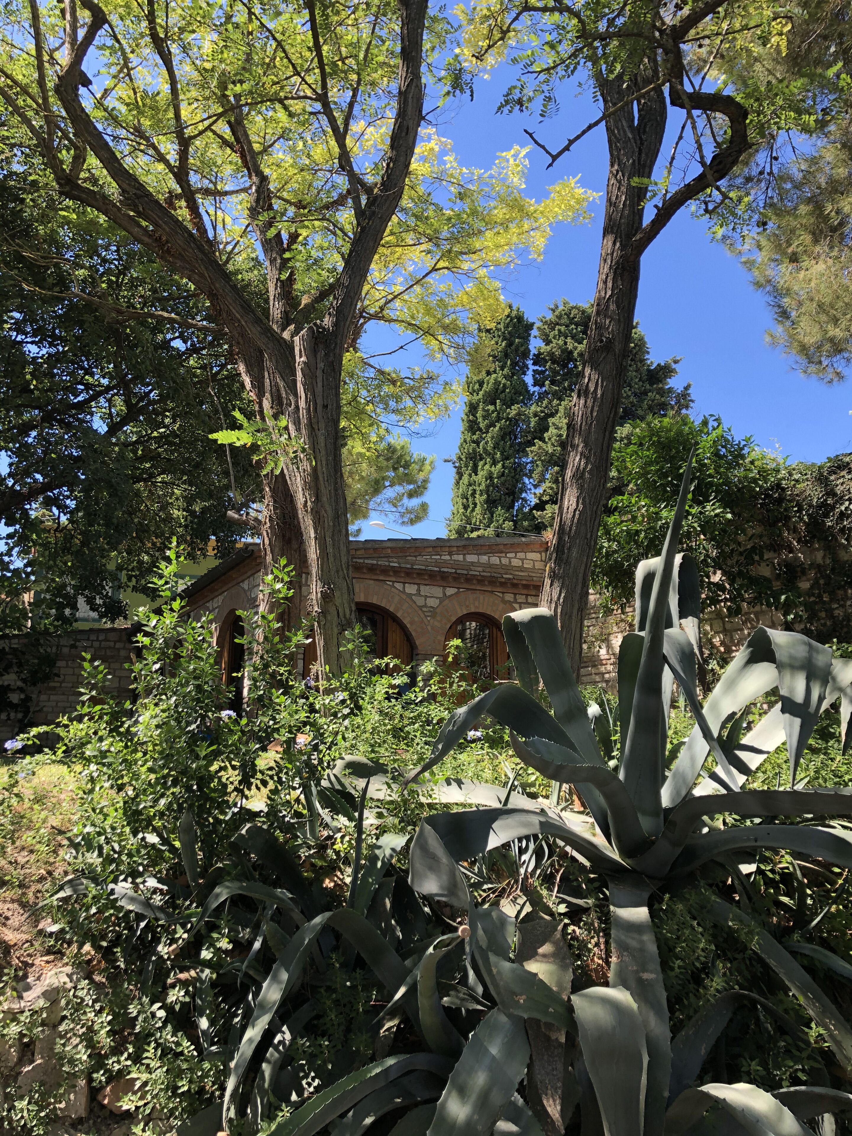 Enceinte de l’hébergement
