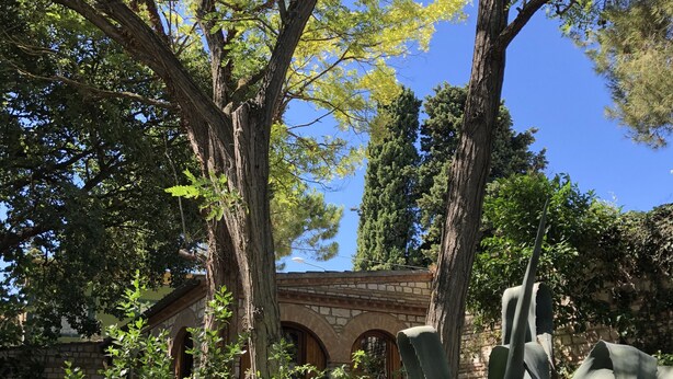 Un jardín con árboles grandes, un puente de piedra y un edificio con arcos.