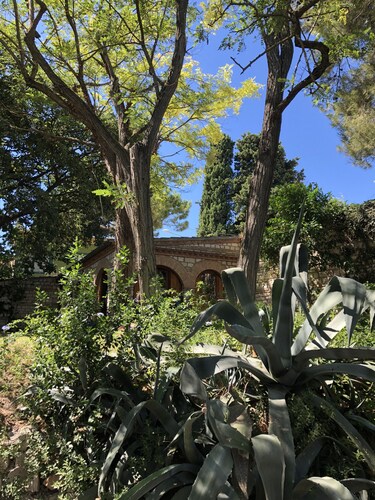 Cottage in the green, a stone's throw from the sea