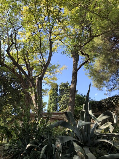 Cottage in the green, a stone's throw from the sea
