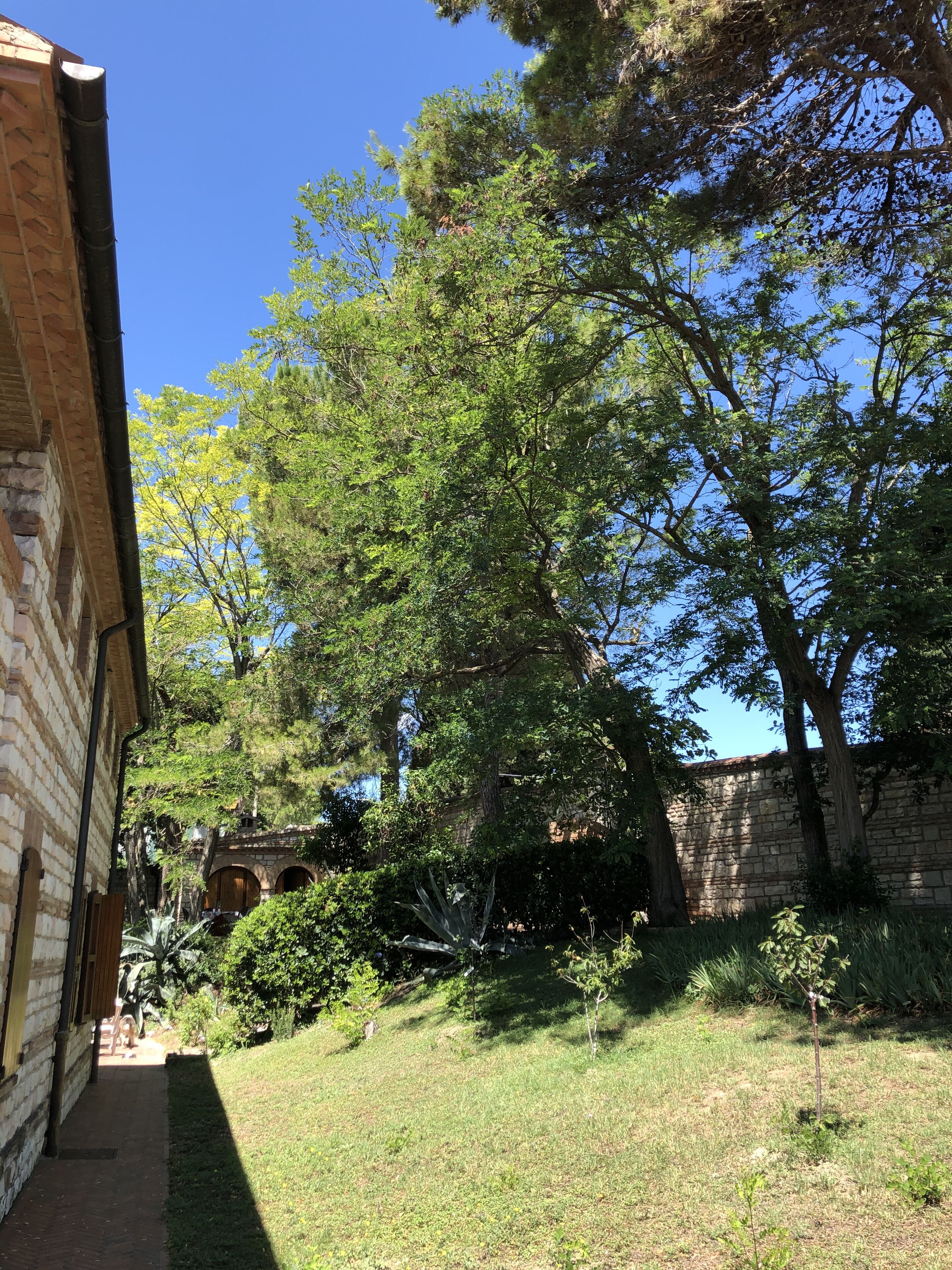 A courtyard with a brick building, a stone wall, and a variety of trees and shrubs.