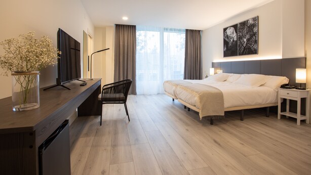Une chambre d’hôtel moderne équipée d’un lit, d’une table de chevet, d’un bureau avec une télévision et d’une chaise.