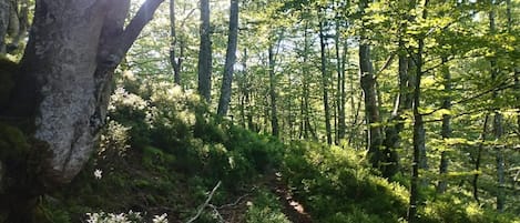 Aussenbereich