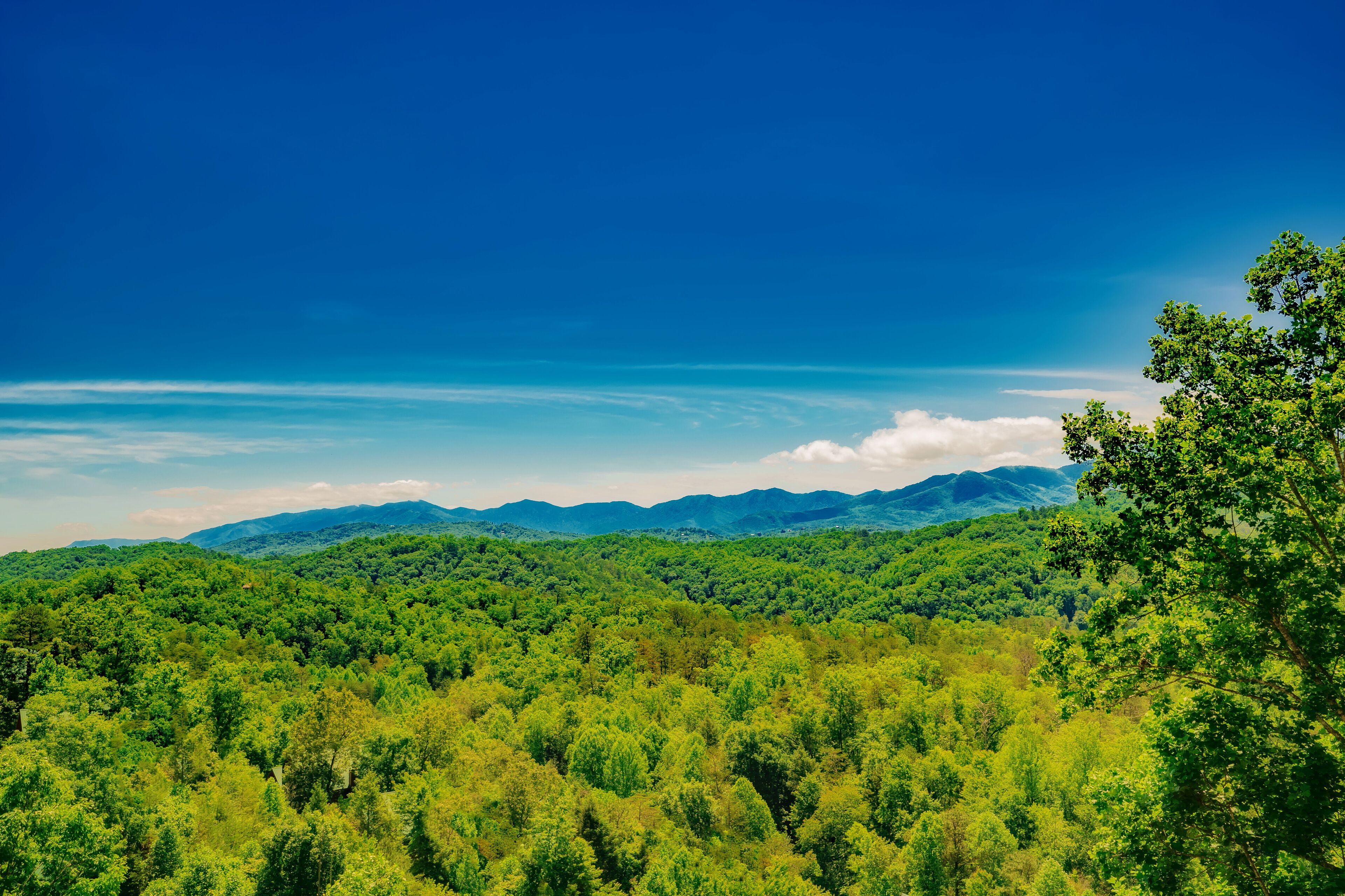 A forested mountain landscape with a clear sky.