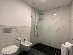 Shower, hair dryer, bidet, towels