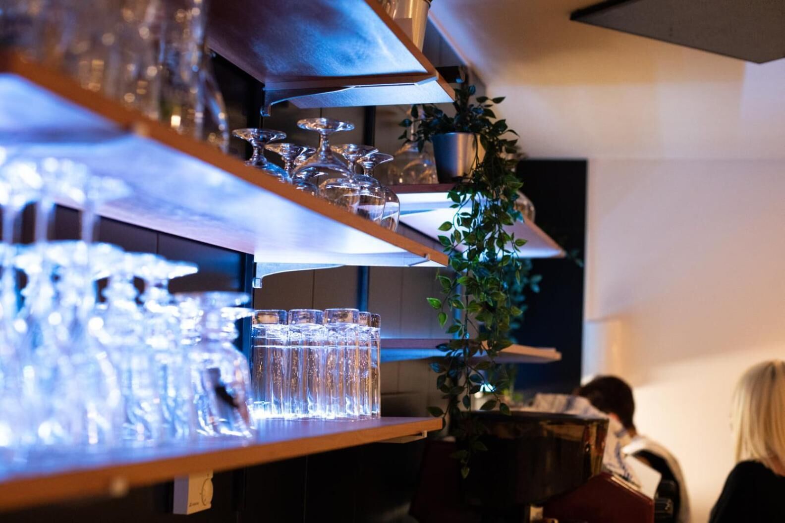 A bar area with multiple shelves holding glasses and bottles, a potted plant, and a person in the background.