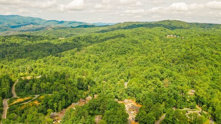 Tennessee Dream - Image 11