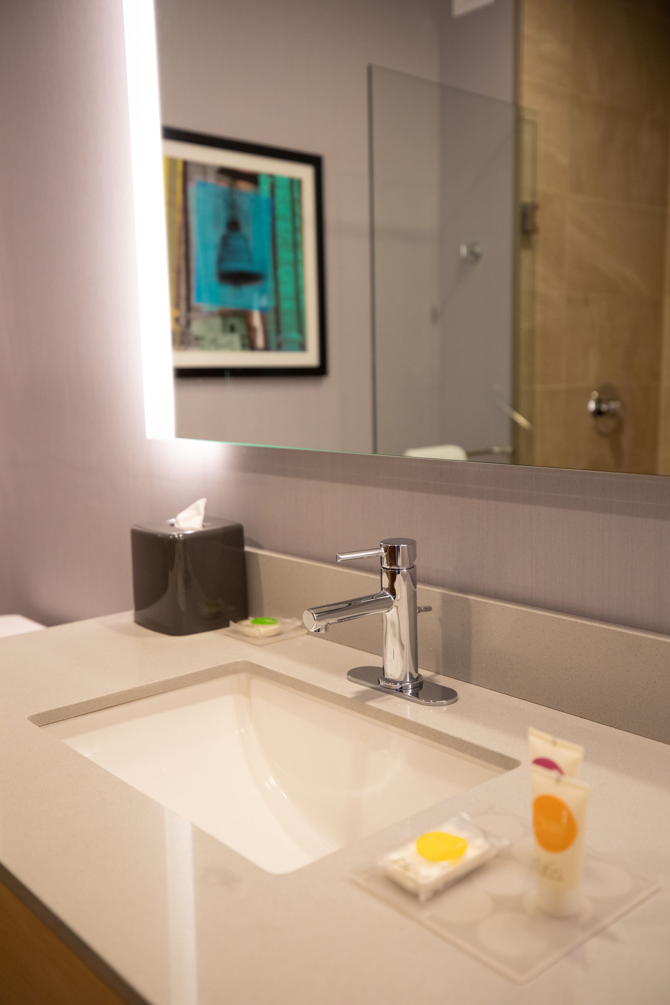 hair dryer, towels, soap, shampoo