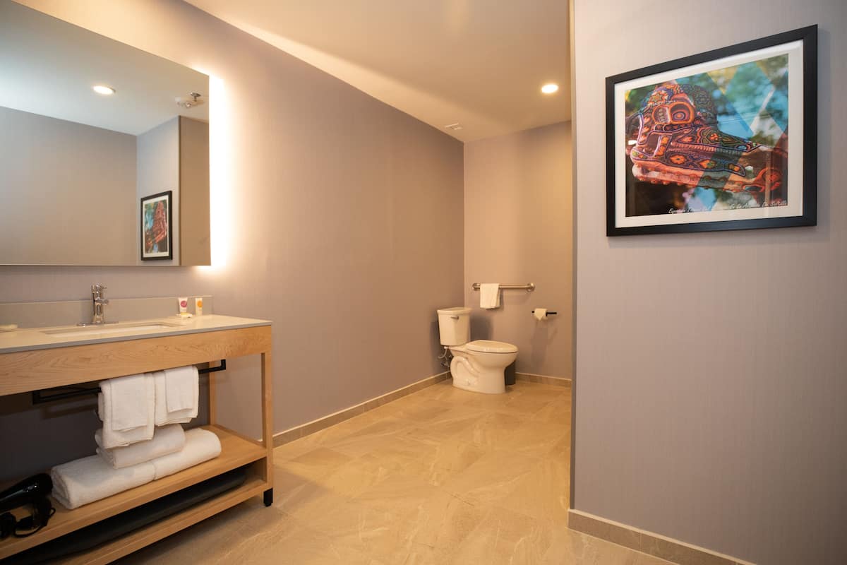 room, 1 king bed with sofa bed, accessible (shower) | bathroom | hair dryer, towels, soap, shampoo