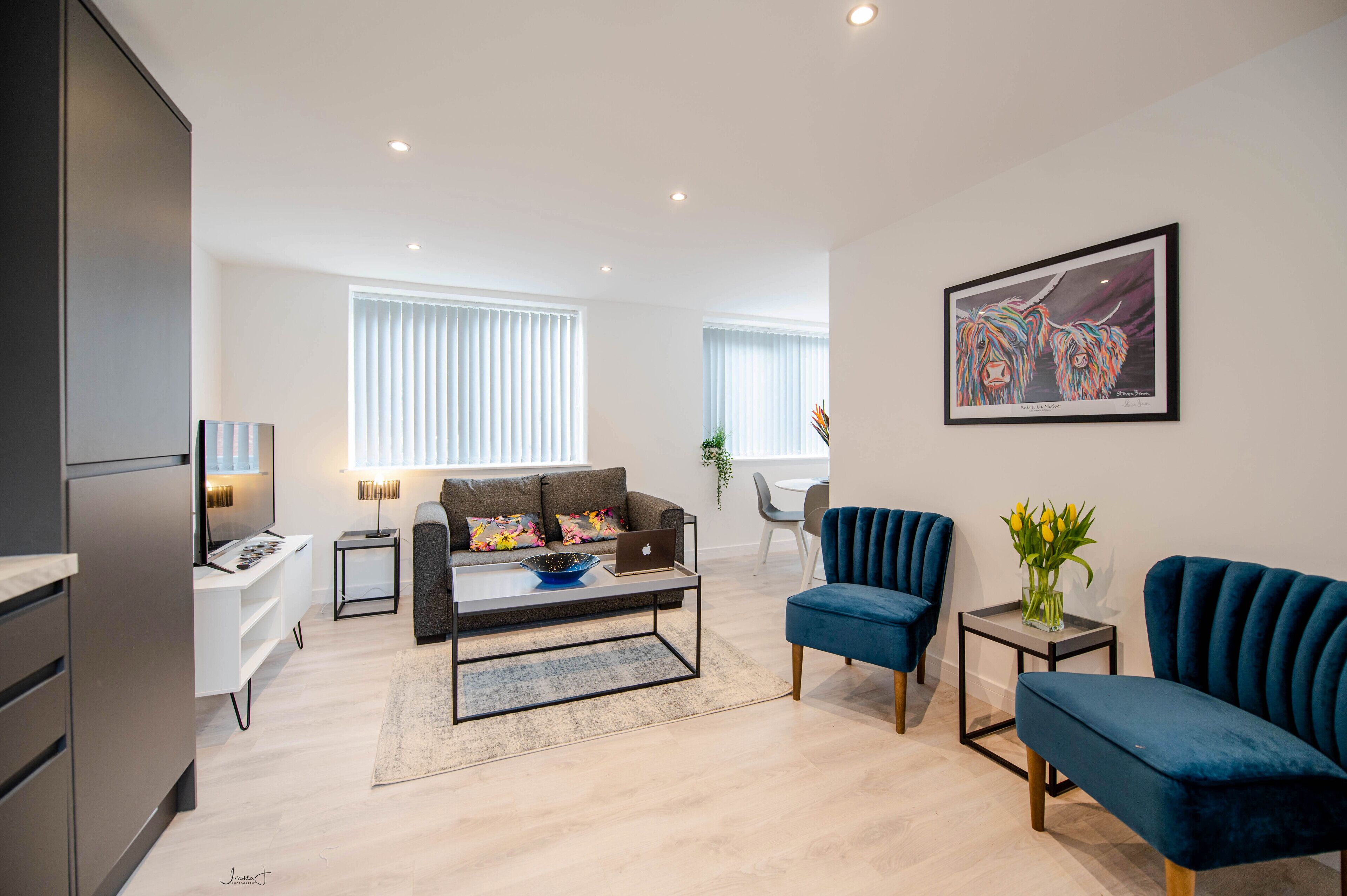 TV, Netflix, books, streaming services