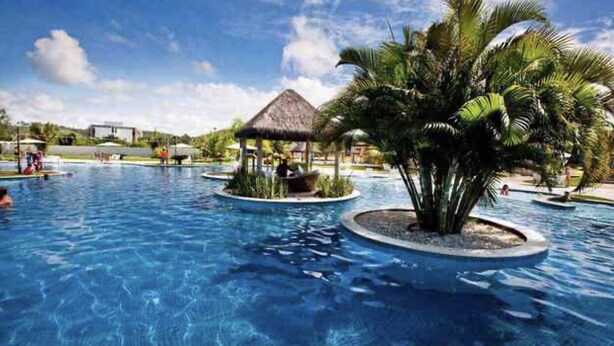 Una piscina con palmeras y una estructura de techo de paja.