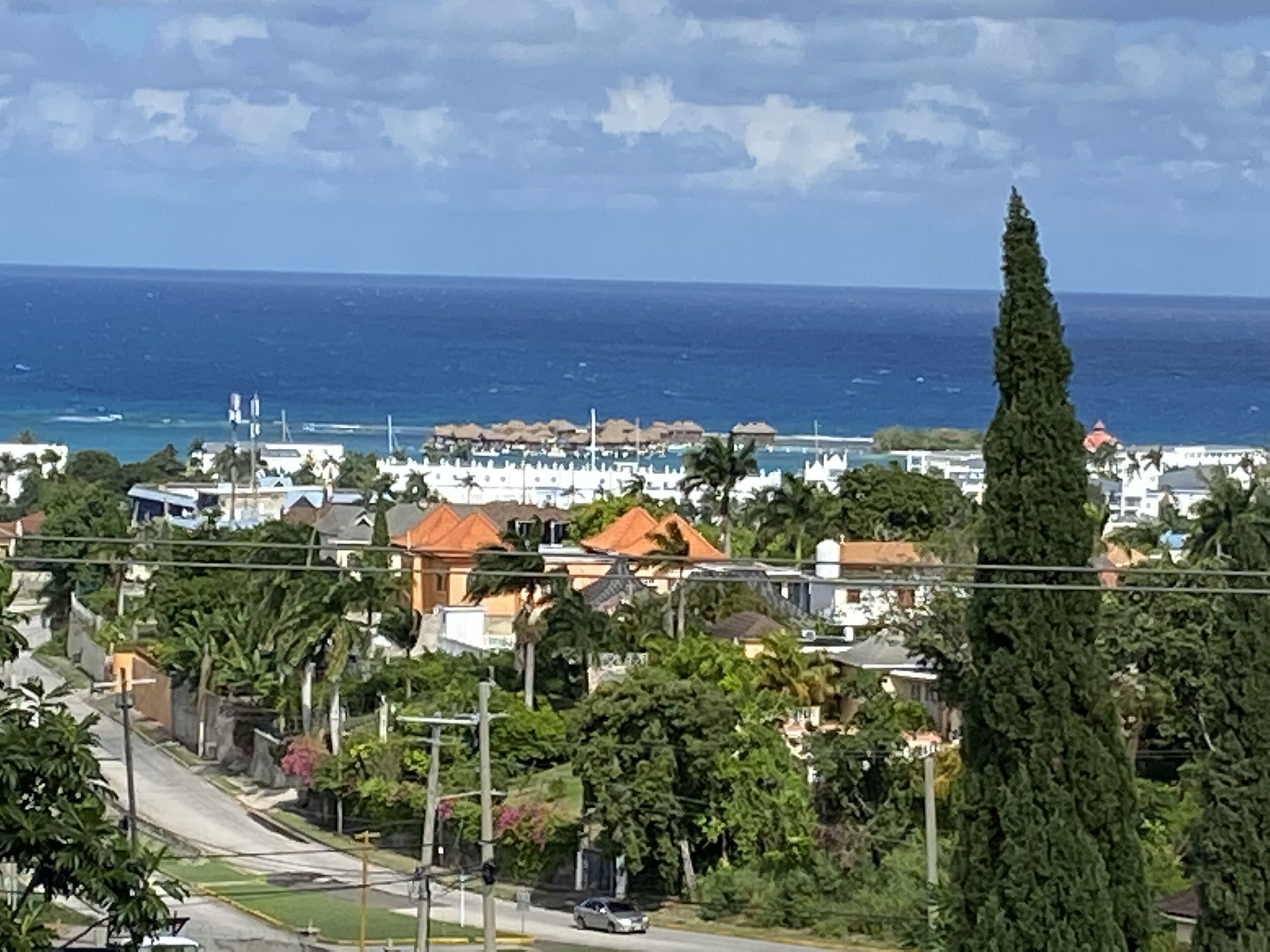 Une ville côtière avec vue sur l’océan, des bâtiments aux toits rouges et un grand cyprès.
