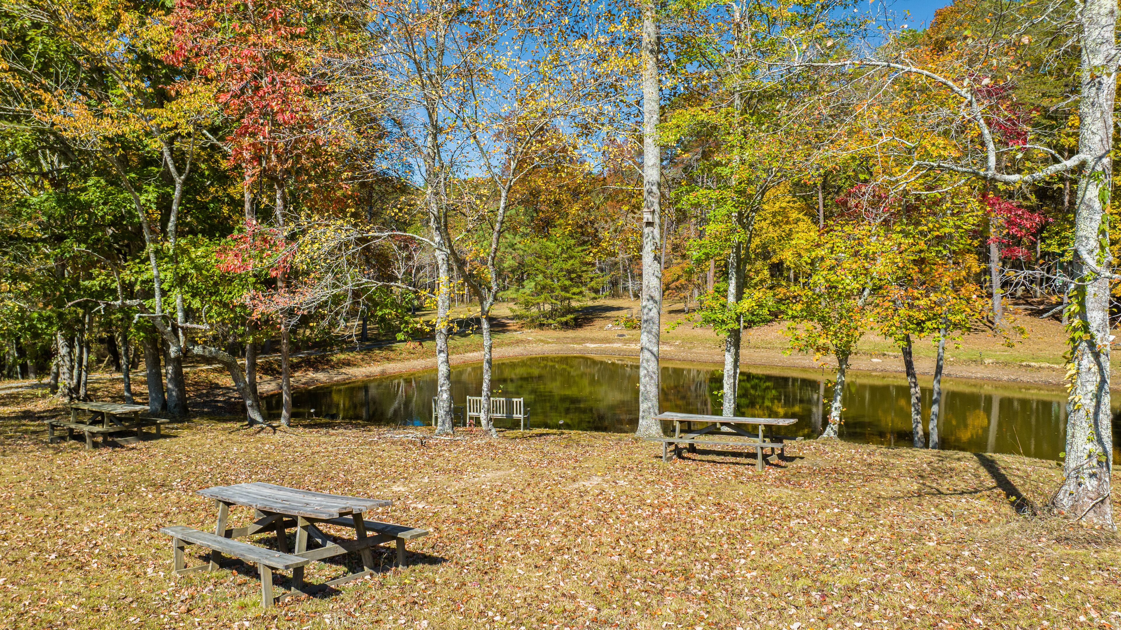 Un parc amb taules de pícnic i un estany envoltat d'arbres de fulles tardanes.