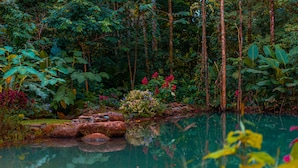 Exterior - Santuario de Ranas Valle Azul (San Lorenzo)