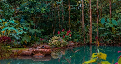 Santuario de Ranas Valle Azul