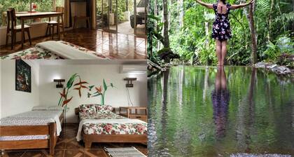 Santuario de Ranas Valle Azul