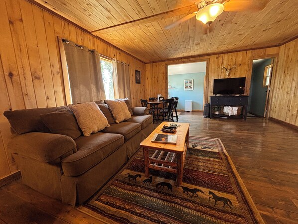 Smart TV, DVD player