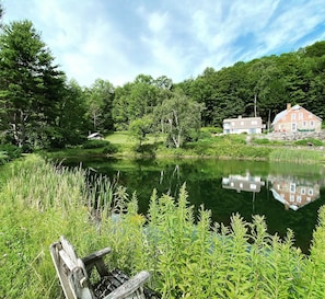 Property grounds - Remote Getaway near Woodstock Vermont (Reading)