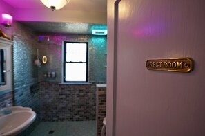 Combined shower/tub, hair dryer, towels, soap - "The In & Out Room" at TPH - Boston (Boston)