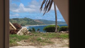 Un paysage côtier offrant une vue sur l’océan, avec des palmiers et un terrain rocheux.