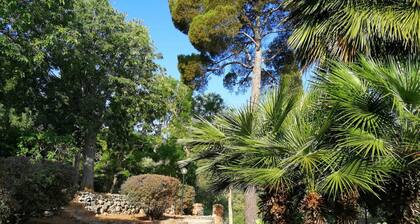 A PAINTING ON THE JANNELLA