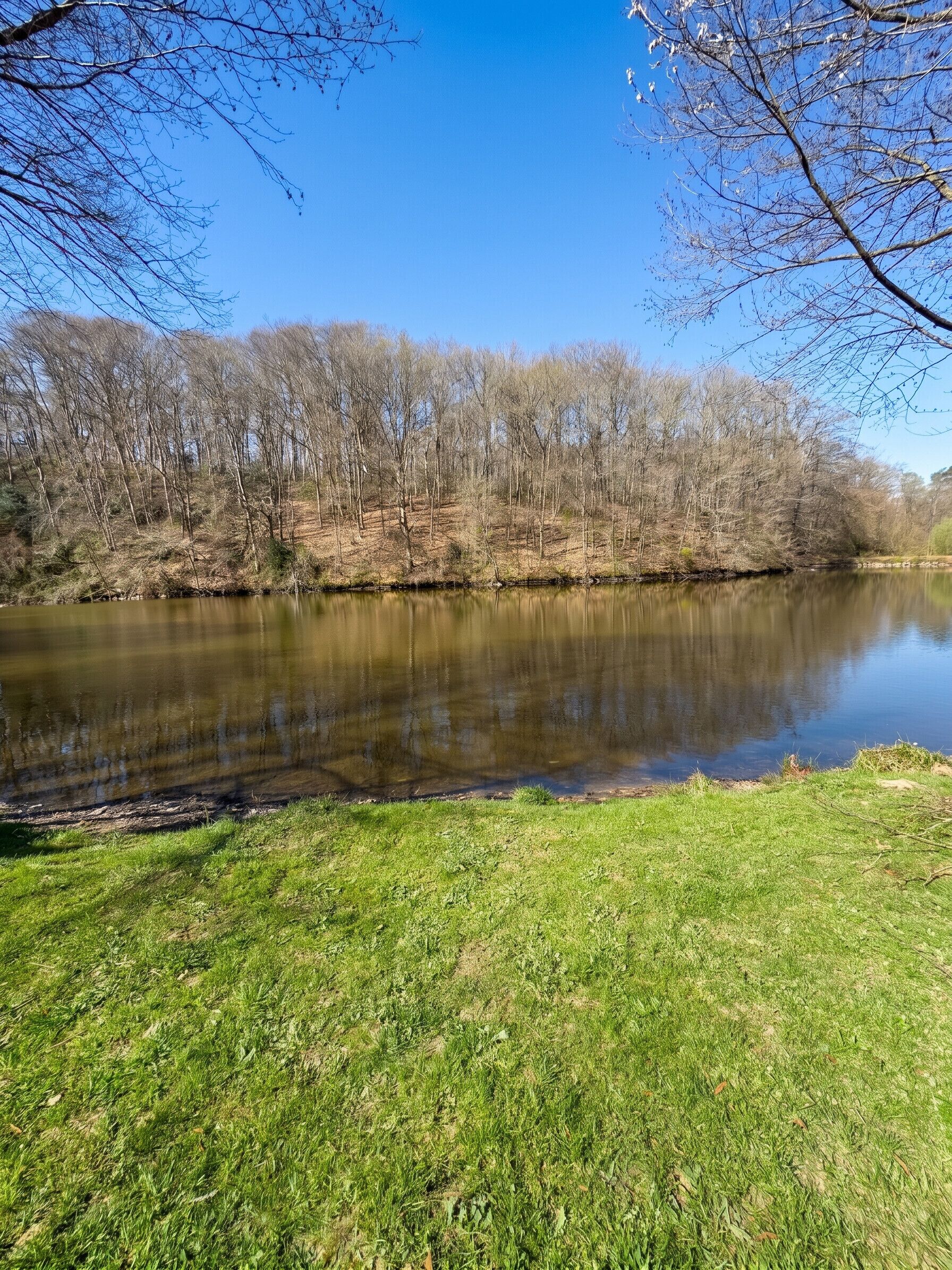 Een rustige rivier met grasoevers en kale bomen onder een heldere lucht.