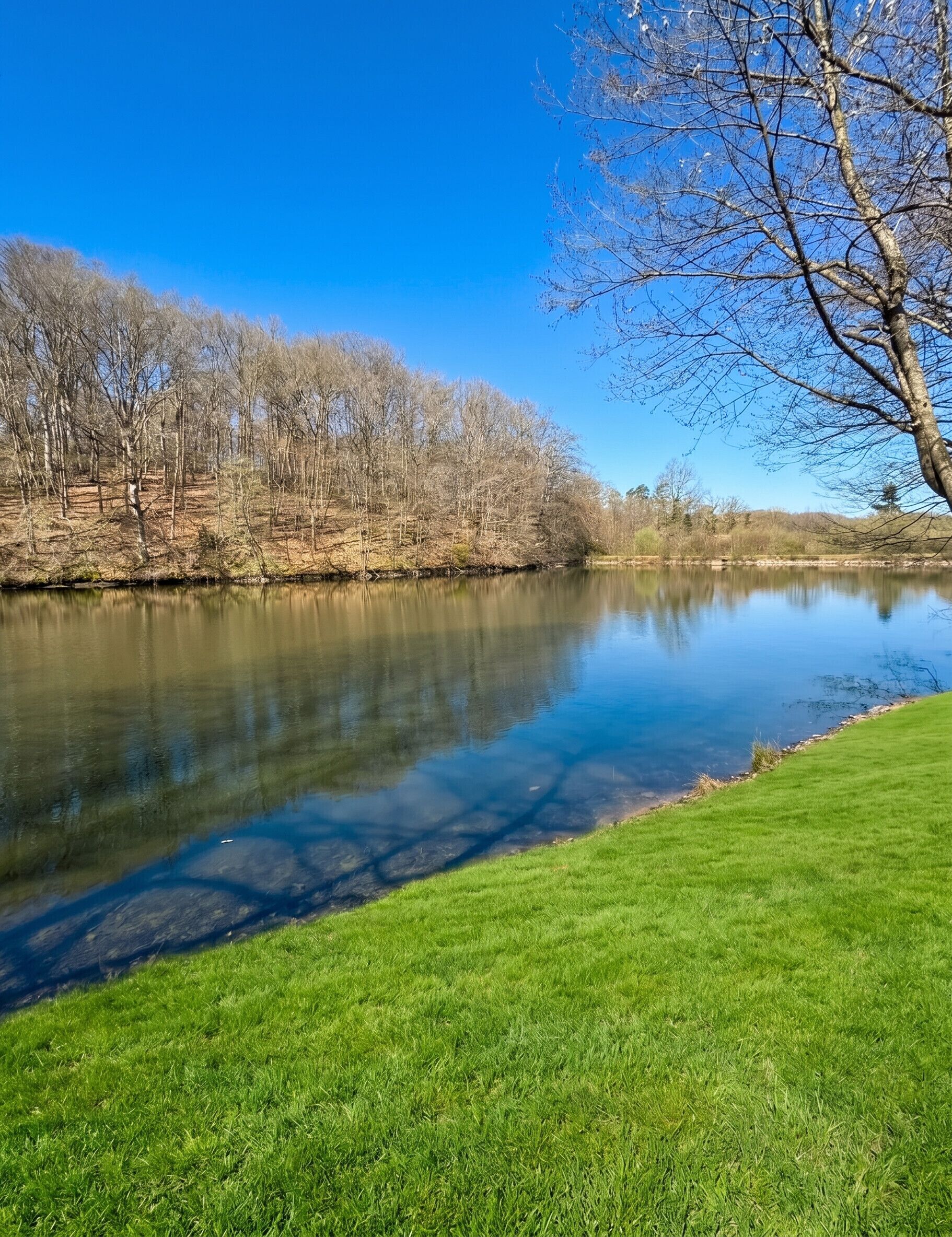 A calm river with grassy banks and leafless trees under a clear blue sky.