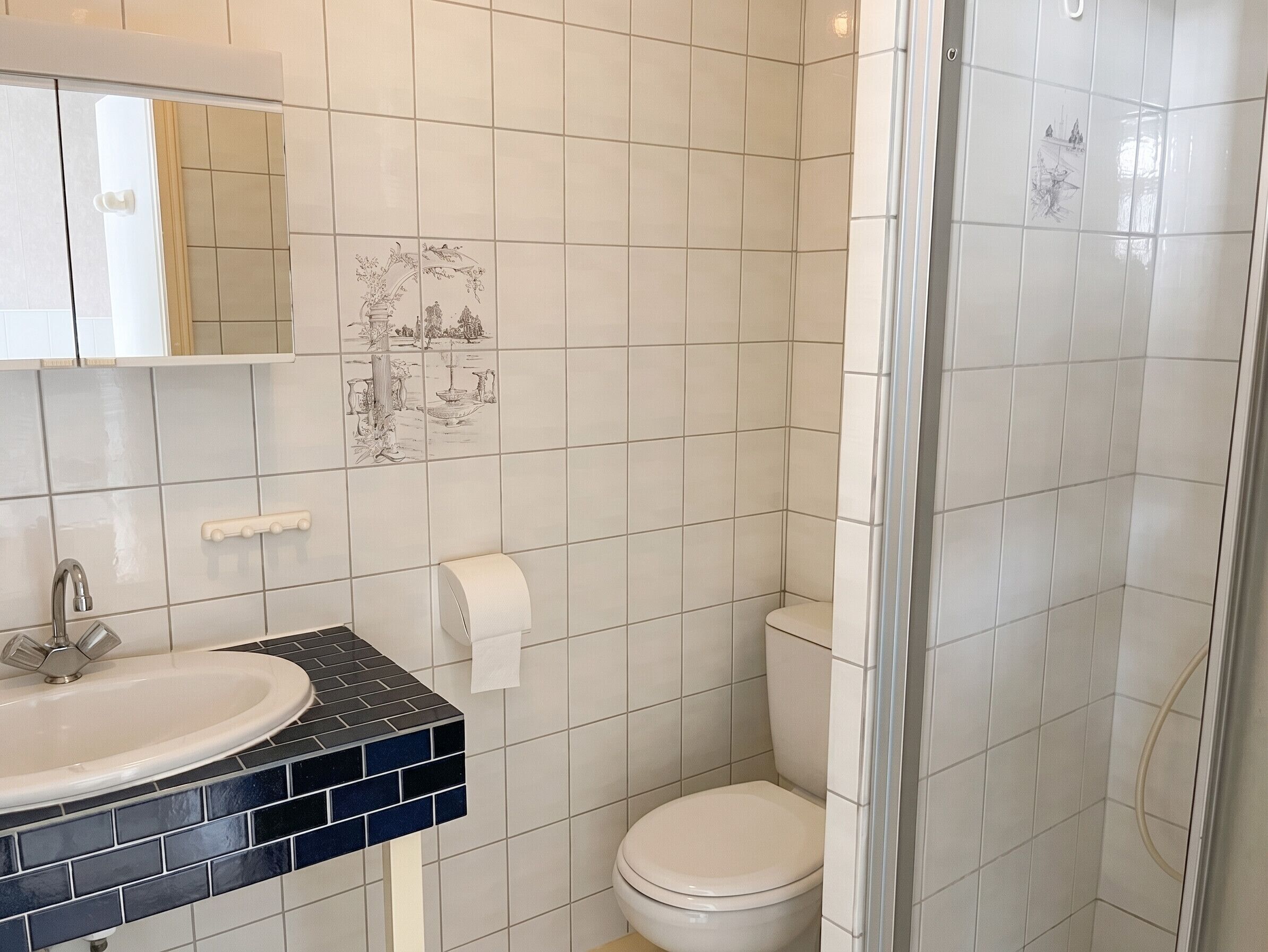 Une salle de bain avec un lavabo, des toilettes et une douche.