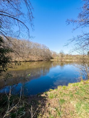 Un lac paisible, bordé d’arbres et de rives verdoyantes.