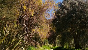 A gravel path in a natural setting with trees and greenery. - The Garden Flat: a country apartment close to the beach and daywalks. (Collingwood)