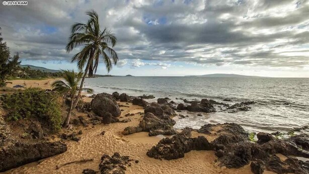 Une plage avec des affleurements rocheux et un palmier.