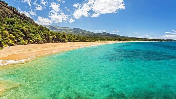 Una playa con aguas turquesas cristalinas, una orilla arenosa y una ladera cubierta de bosque.