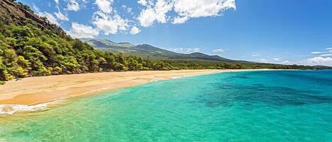 Una spiaggia nelle vicinanze