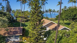 A residential area with a house surrounded by palm trees and a view of the ocean.