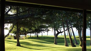 A view of a grassy area with trees and a body of water in the background.