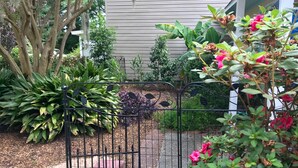 Um jardim com diversas plantas e um portão de metal.