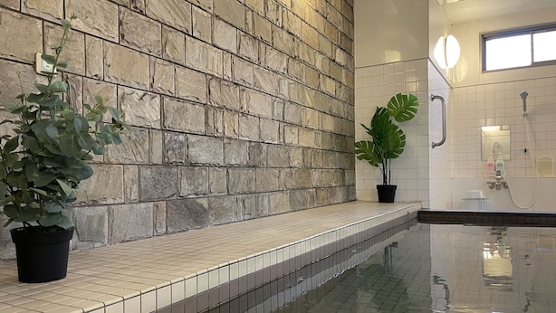 Casa de banho com parede de pedra, chão em mosaico, lavatório, chuveiro e duas plantas em vasos.