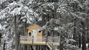 A wooden treehouse with a rope ladder, surrounded by snow-covered trees. - Windham Mountain Chalet with Treehouse sleeps 15, Game Room & fireplace (Windham)