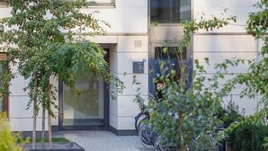Un edificio moderno con entrada de vidrio, un pequeño jardín con árboles y bicicletas estacionadas afuera.