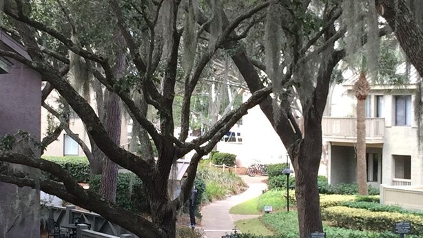 Une rue résidentielle bordée d’arbres matures, avec un chemin piétonnier et un immeuble doté d’un balcon.