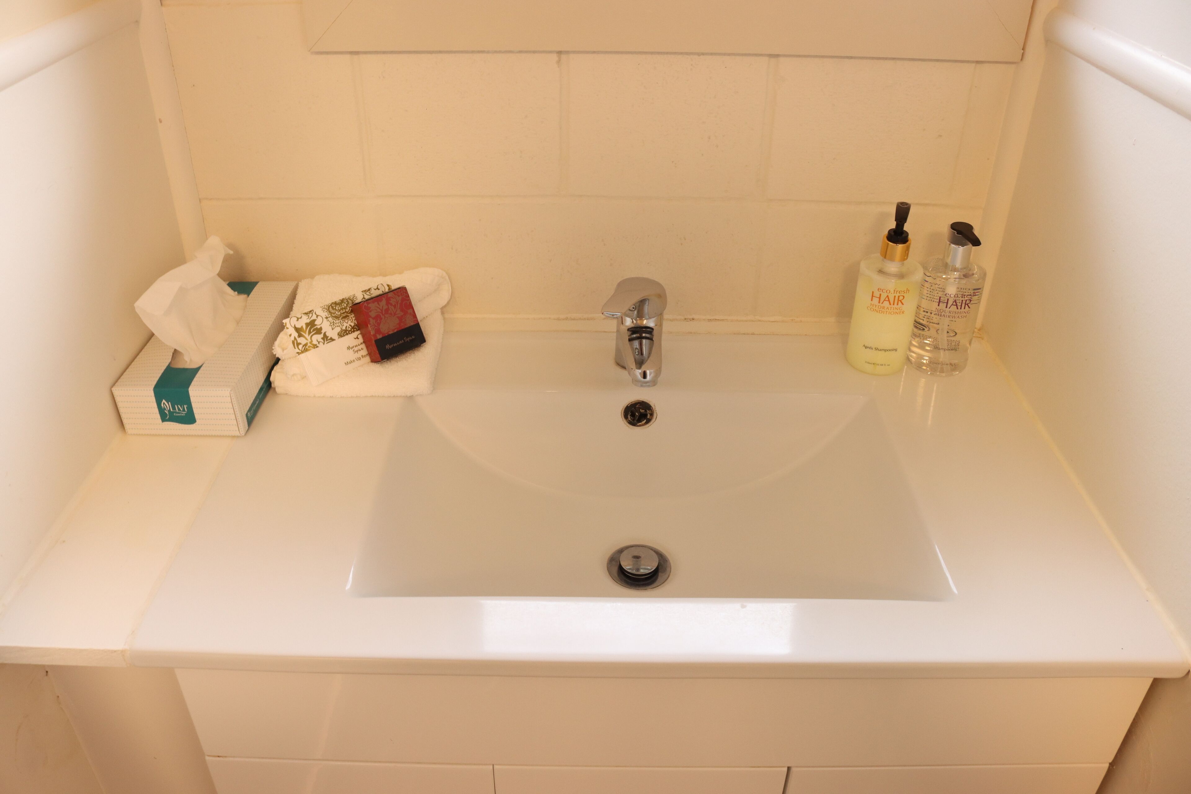 Un bagno con un lavandino bianco, una scatola di fazzoletti e due flaconi di prodotti per la cura dei capelli.