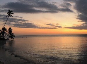Una playa cerca