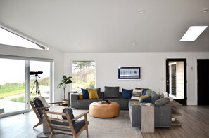 TV connectée, cheminée, livres, chaîne hi-fi