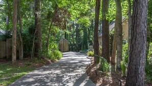 A narrow, tree-lined pathway leading to a wooden structure, surrounded by dense foliage. -  Private Studio Entry (Ponte Vedra Beach)