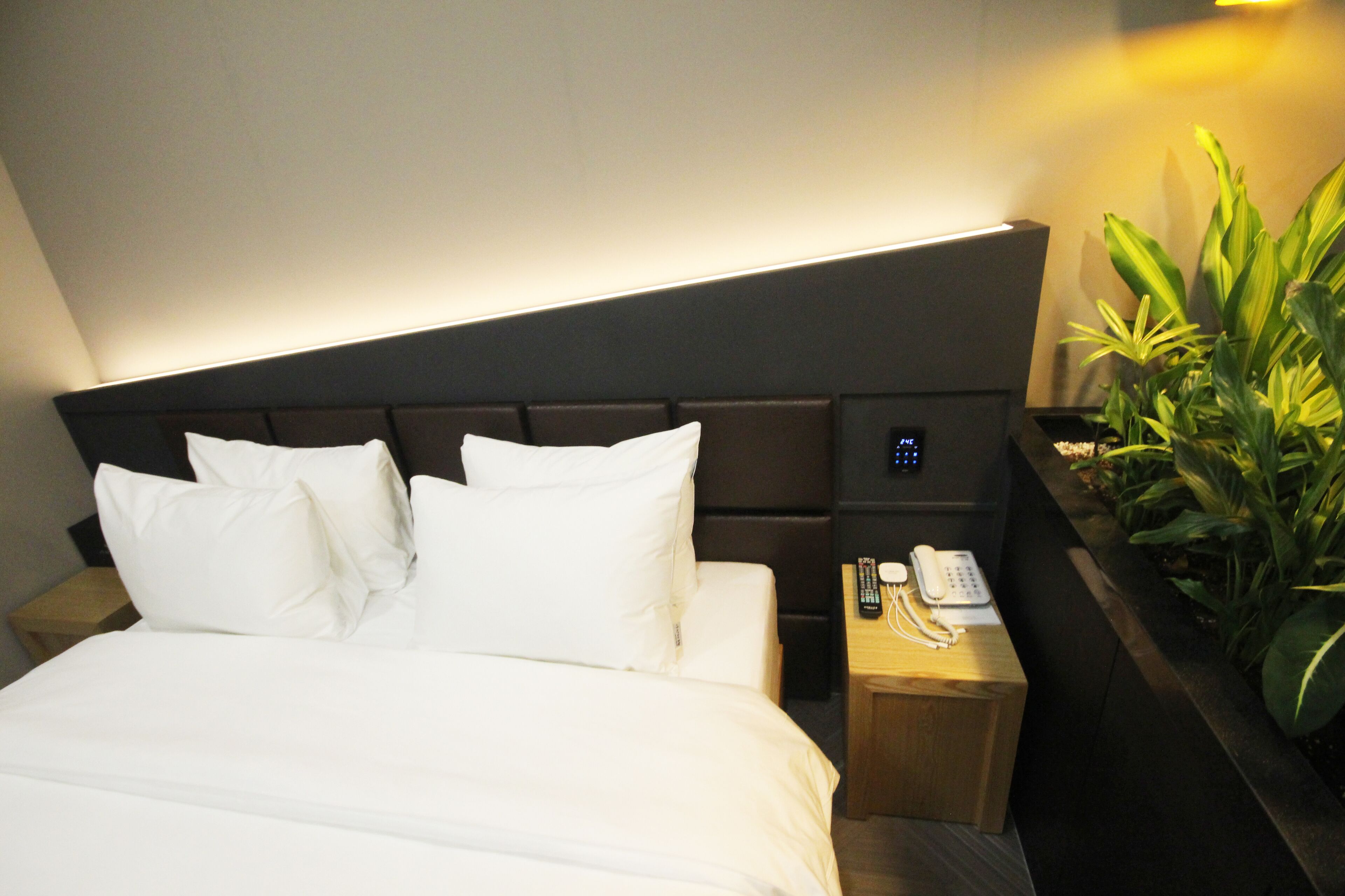 Una habitación de hotel con una cama bien hecha, una mesita de noche con un teléfono y controles remotos, y una planta a la derecha.