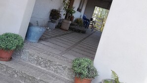 Un espace extérieur abrité, avec des marches menant à une porte, des plantes en pot et une chaise bleue.