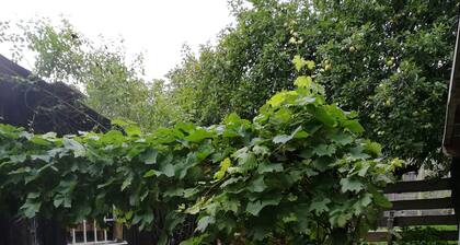 Urlaub im Fichtelgebirge