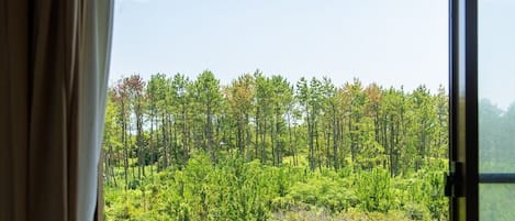 Vue depuis l’hébergement