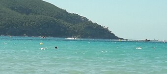 Studio on garden level