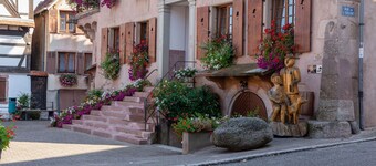 Appartement en Alsace près de Koenigsbourg